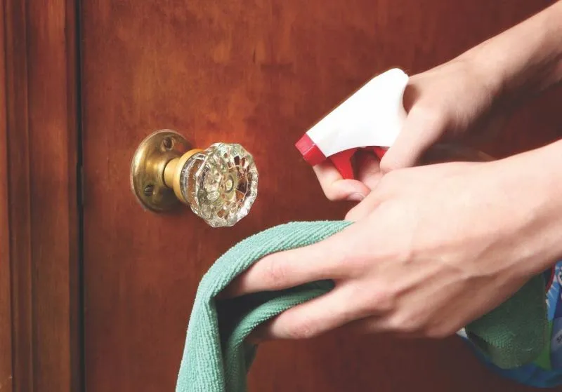 Советы по уходу за дверьми из натурального шпона Советы по уходу за дверьми из натурального шпона